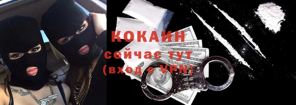 дмт Няндома