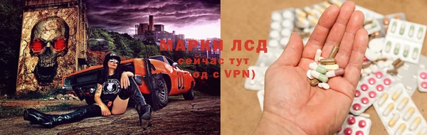 дмт Ельня