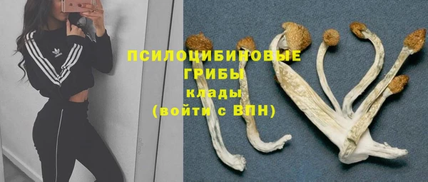 дмт Няндома