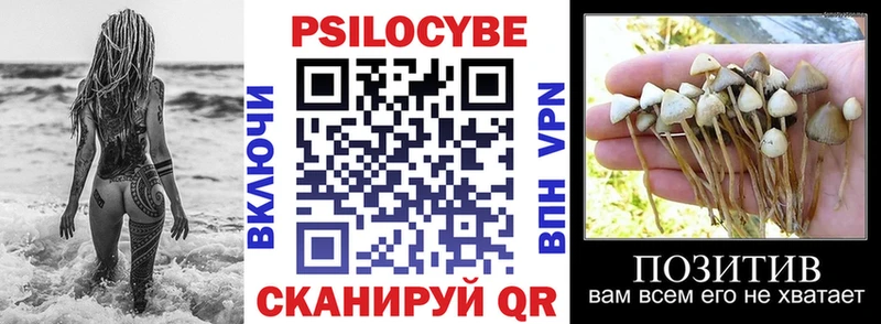 Галлюциногенные грибы MAGIC MUSHROOMS  Кола 